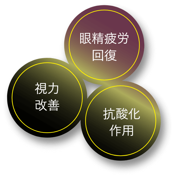 ３つのポイント